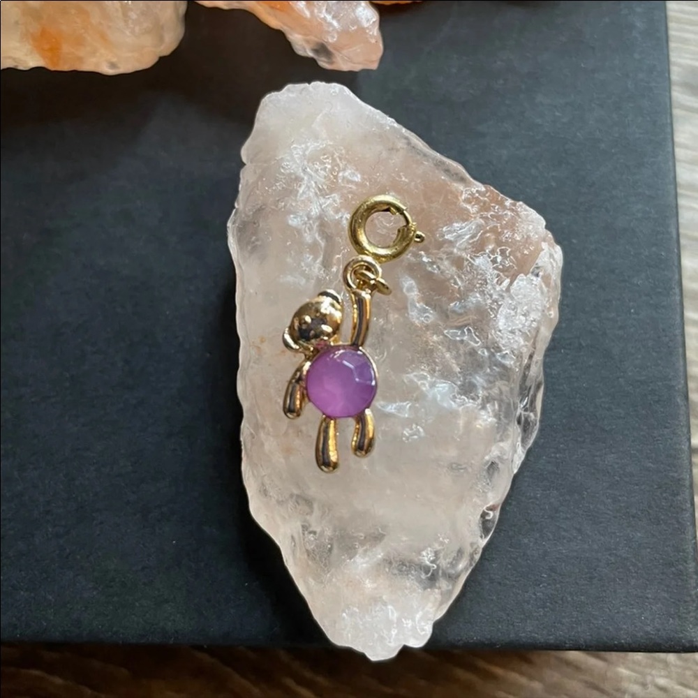 Chain charm purple teddy